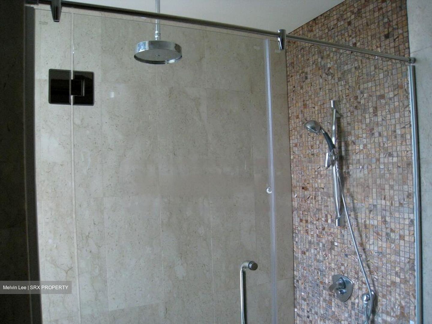 The Raintree (D21), Condominium #460567471